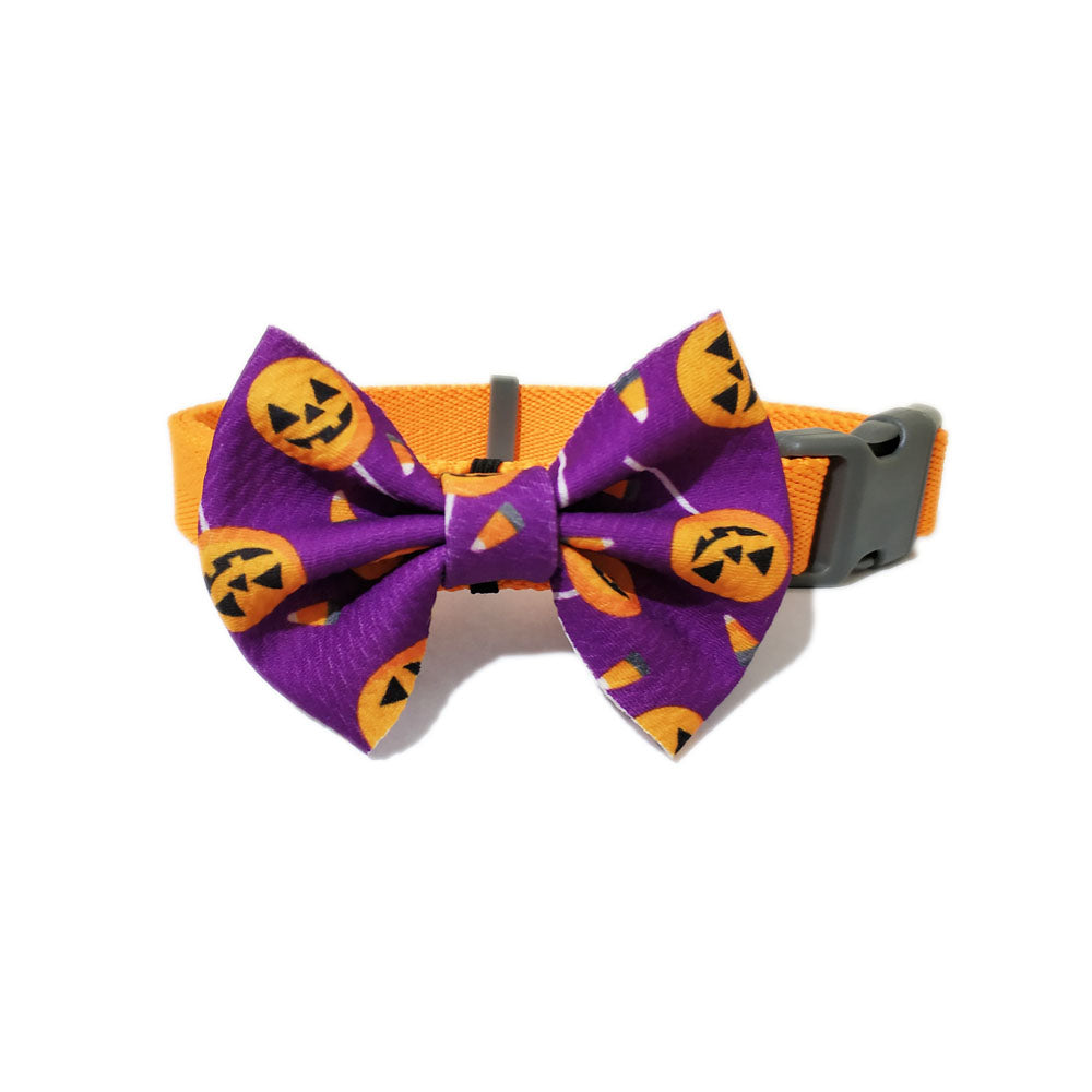 Thanksgiving bow deals tie for dogs